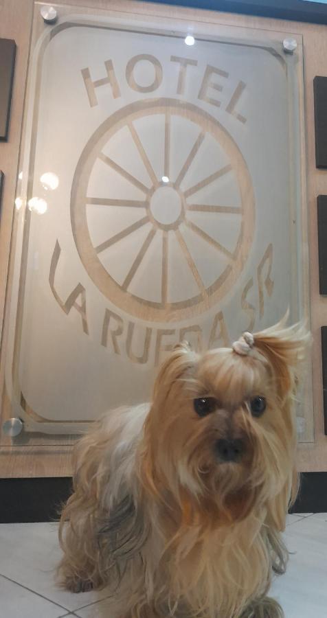Hotel La Rueda Sr バルボサ エクステリア 写真