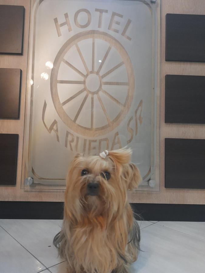 Hotel La Rueda Sr バルボサ エクステリア 写真